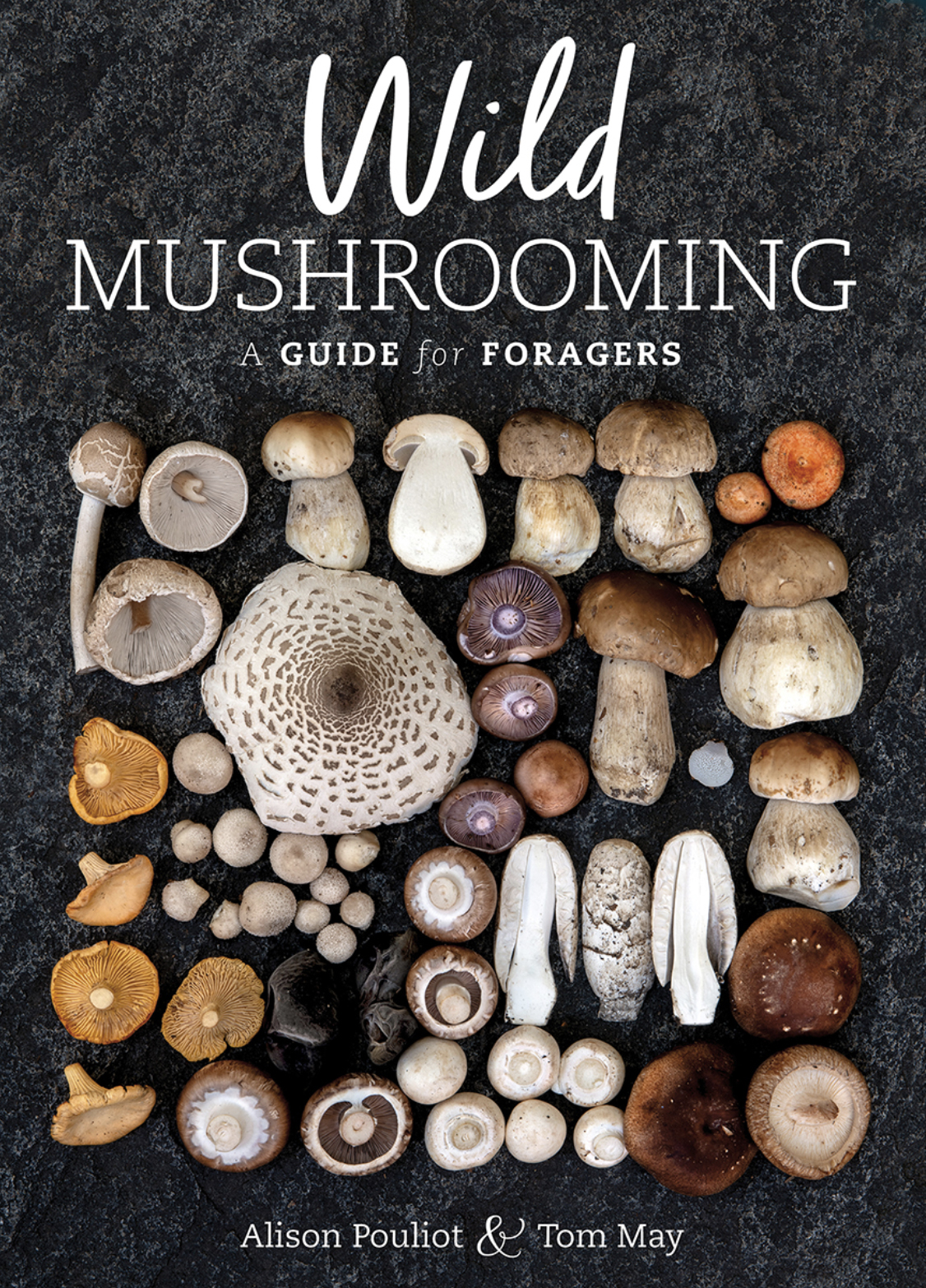 Mushroom foraging with Alison Pouliot and Tom May Friends of the Box